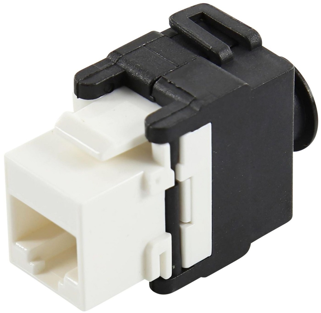 Logon Professional C5e up Oolless Keysone